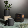 Indian Sandalwood Scented Candle - Black Clay